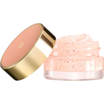 Dolce&Gabbana Fresh Skin Nouri-Lip Berry Scrub exfoliant delicat si hidratant de buze - imagine 2